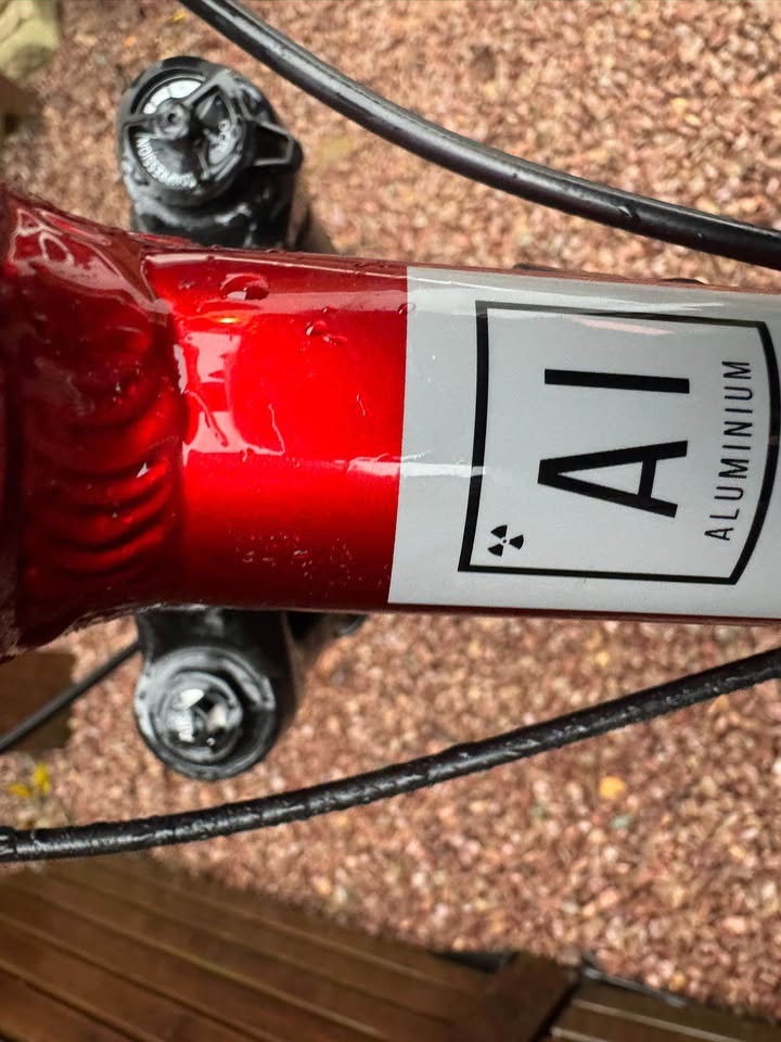 CUB-SCOUT 24” kids mountain bike